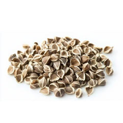 Moringa Seeds - 30g