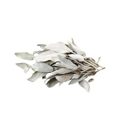 White Sage Leaf - 20g