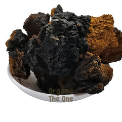 Chaga Mushroom -