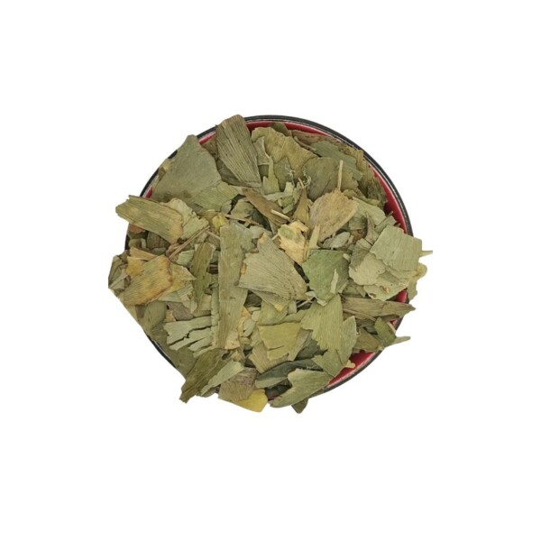 Ginkgo Leaves